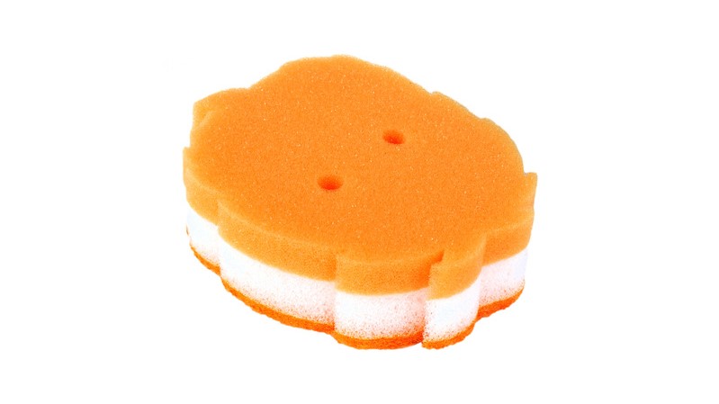 Scouring Sponge